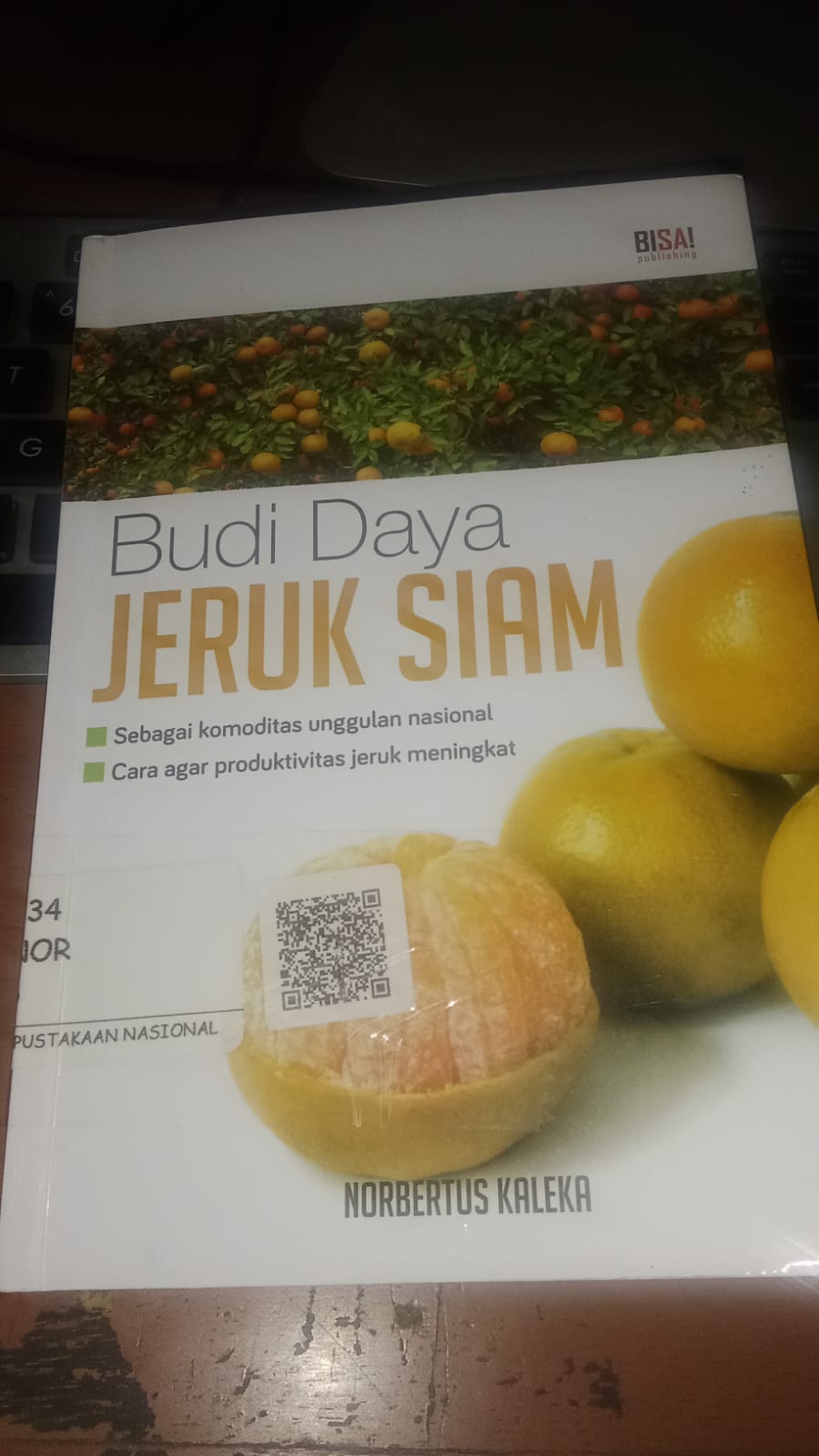 Cover BudiDaya jeruk Siam / Kaleka Nobertus