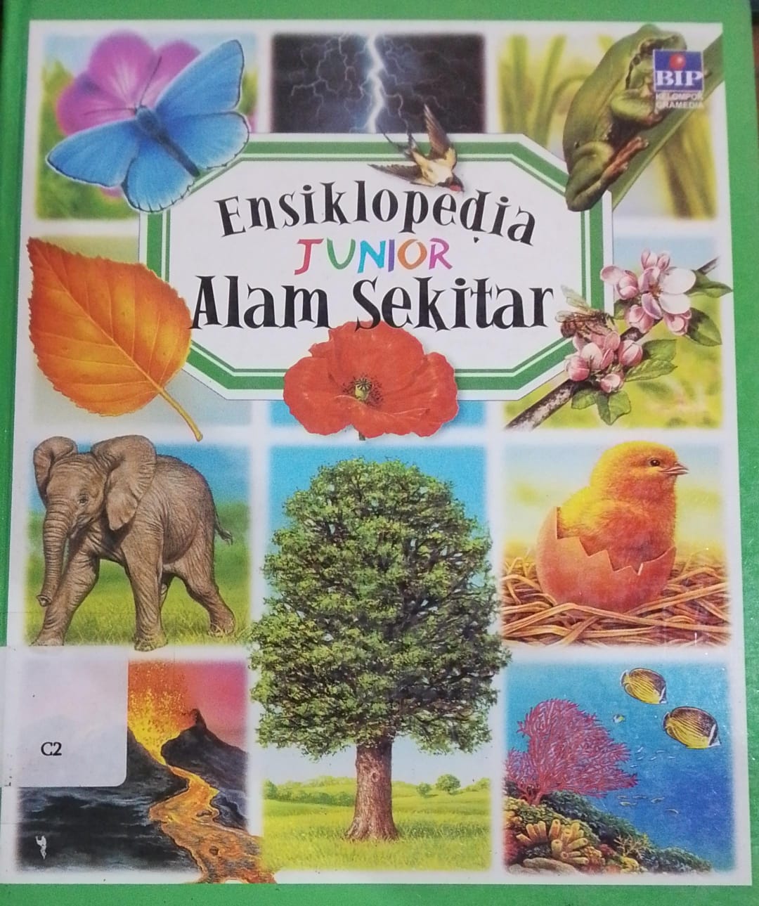 Cover Ensiklopedia Junior Alam Sekitar / Sadika Nuraini Hamid