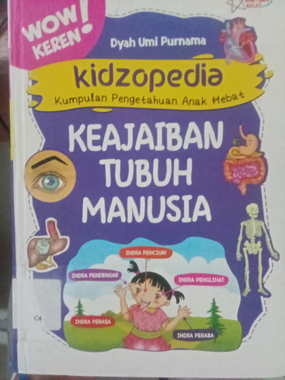 Cover Kidzopedia Kumpulan Pengtahuan Anak Hebat Keajaiban Tubuh Manususia / Purnama Umi dayah
