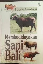 Cover Membudidayakan  Sapi Bali / Guntoro,Suprio