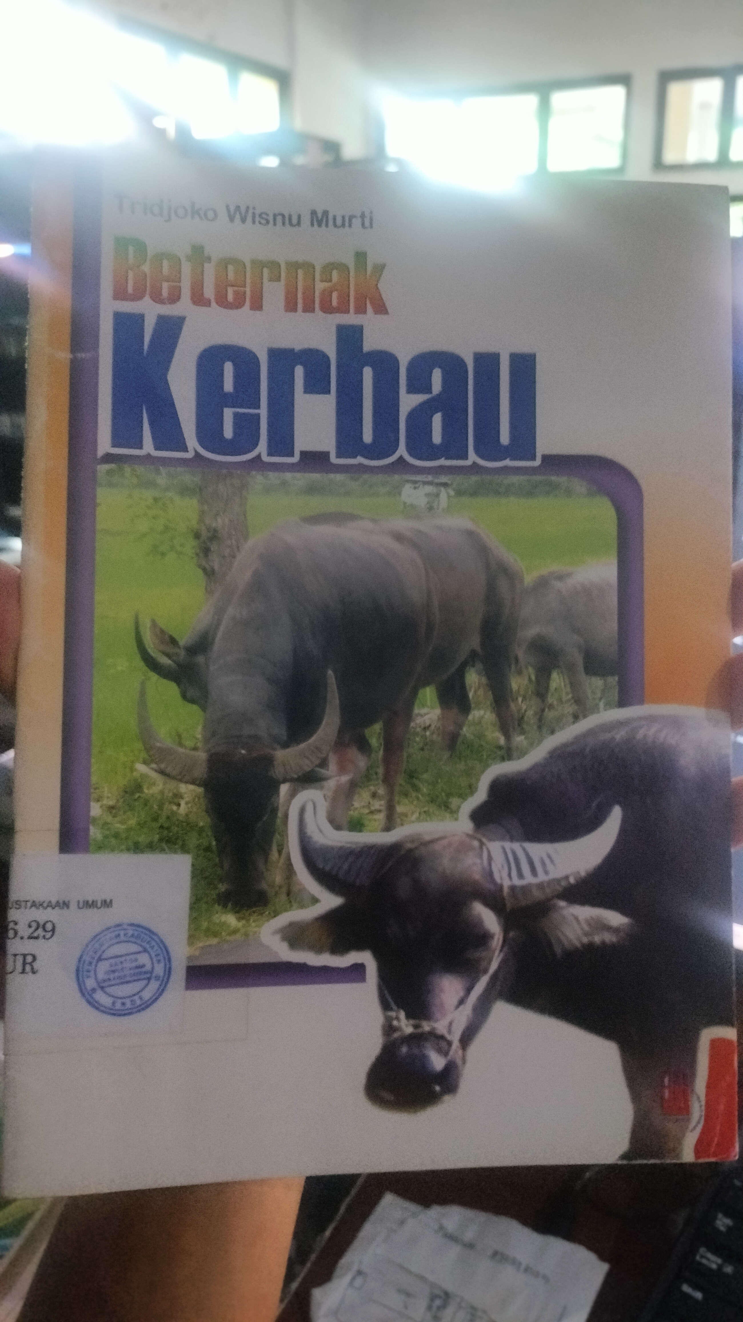 Cover Beternak Kerbau / Murti Wisnu Tridjoko