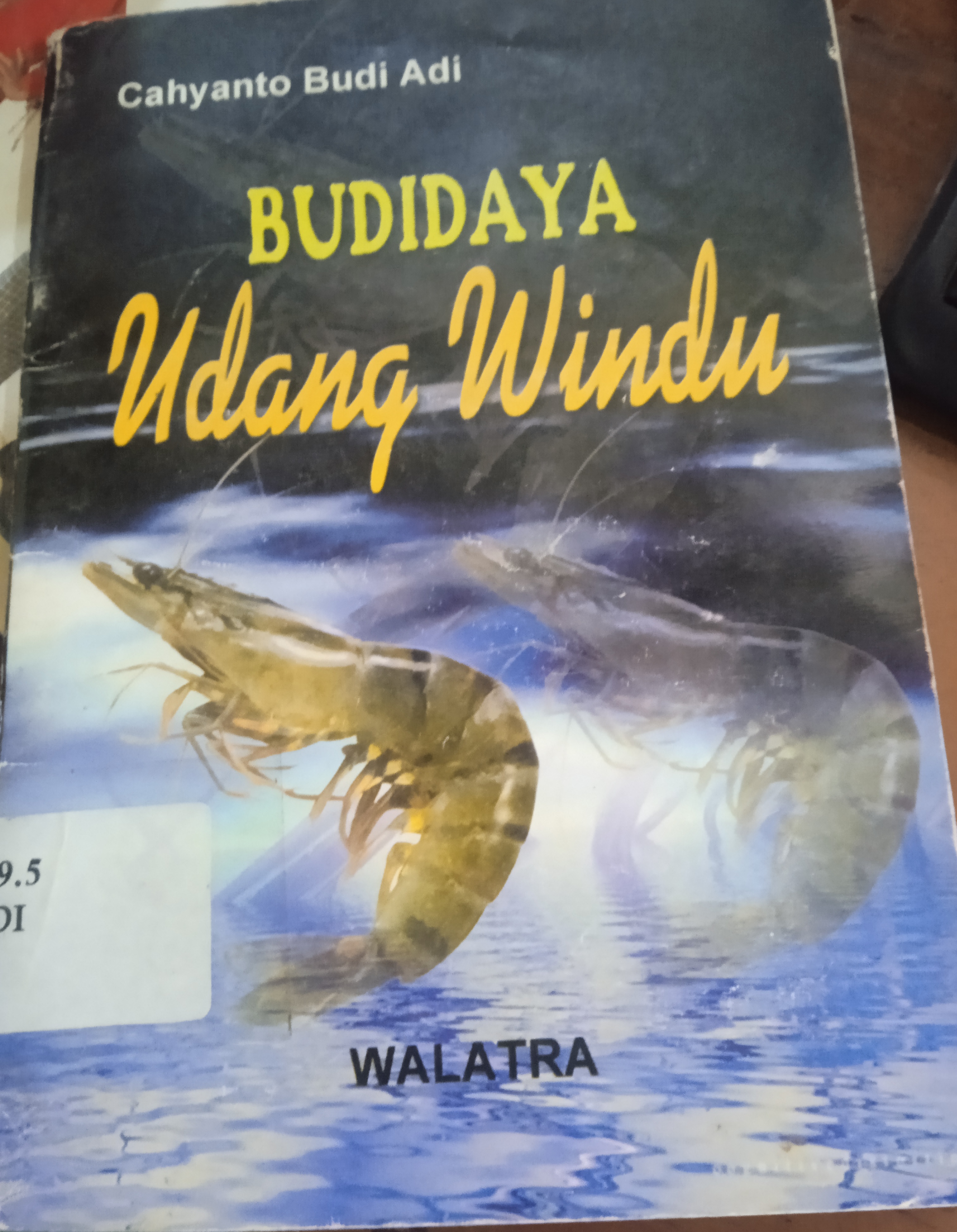 Cover Budi Daya Udang Windu / Adi, Chayanto Budi