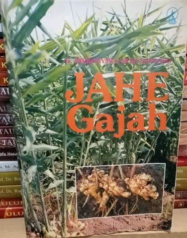 Cover Jahe Gajah / Santoso, Hieronimus Budi