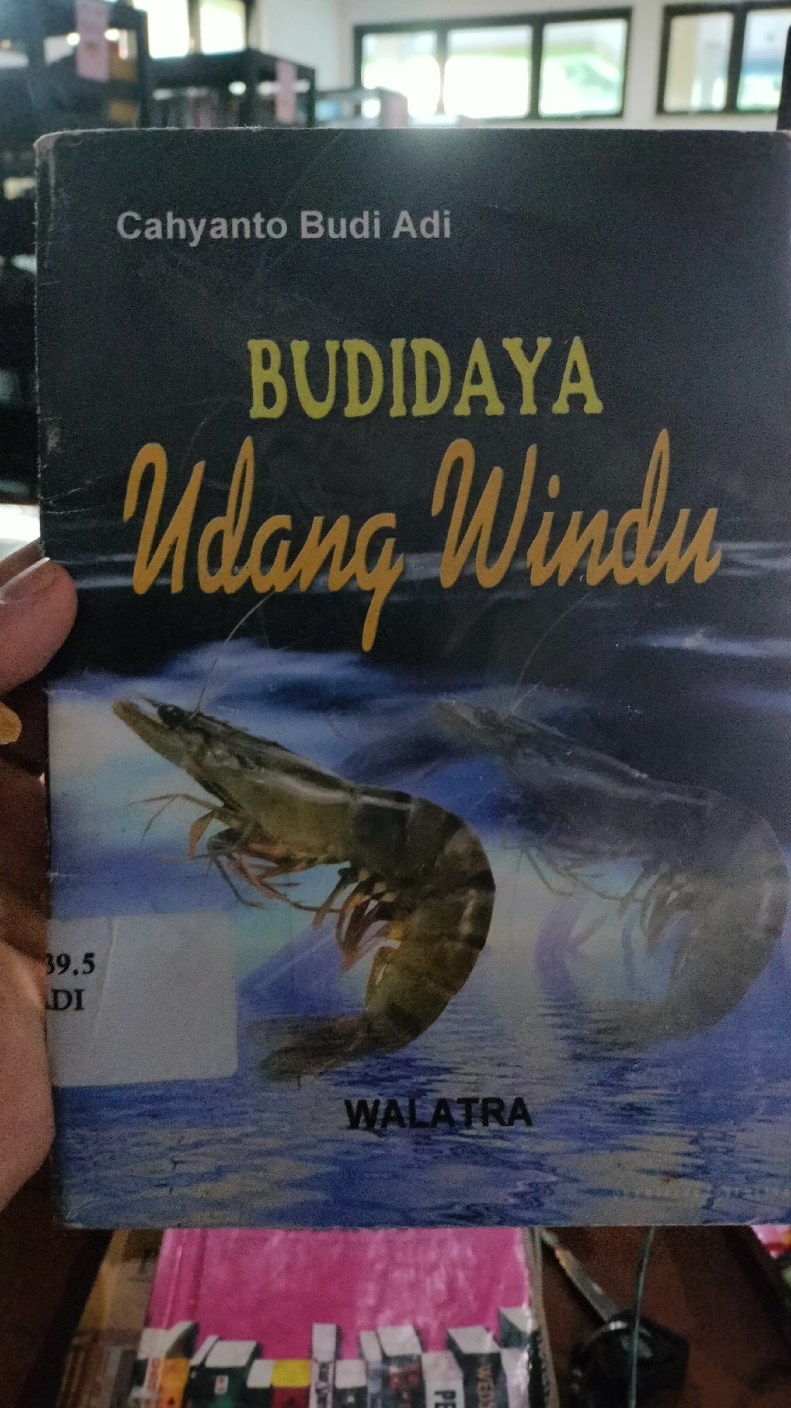 Cover Budidaya Udang Windu / Adi Cahyano Budi
